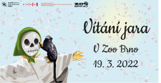 Vítání jara v Zoo Brno